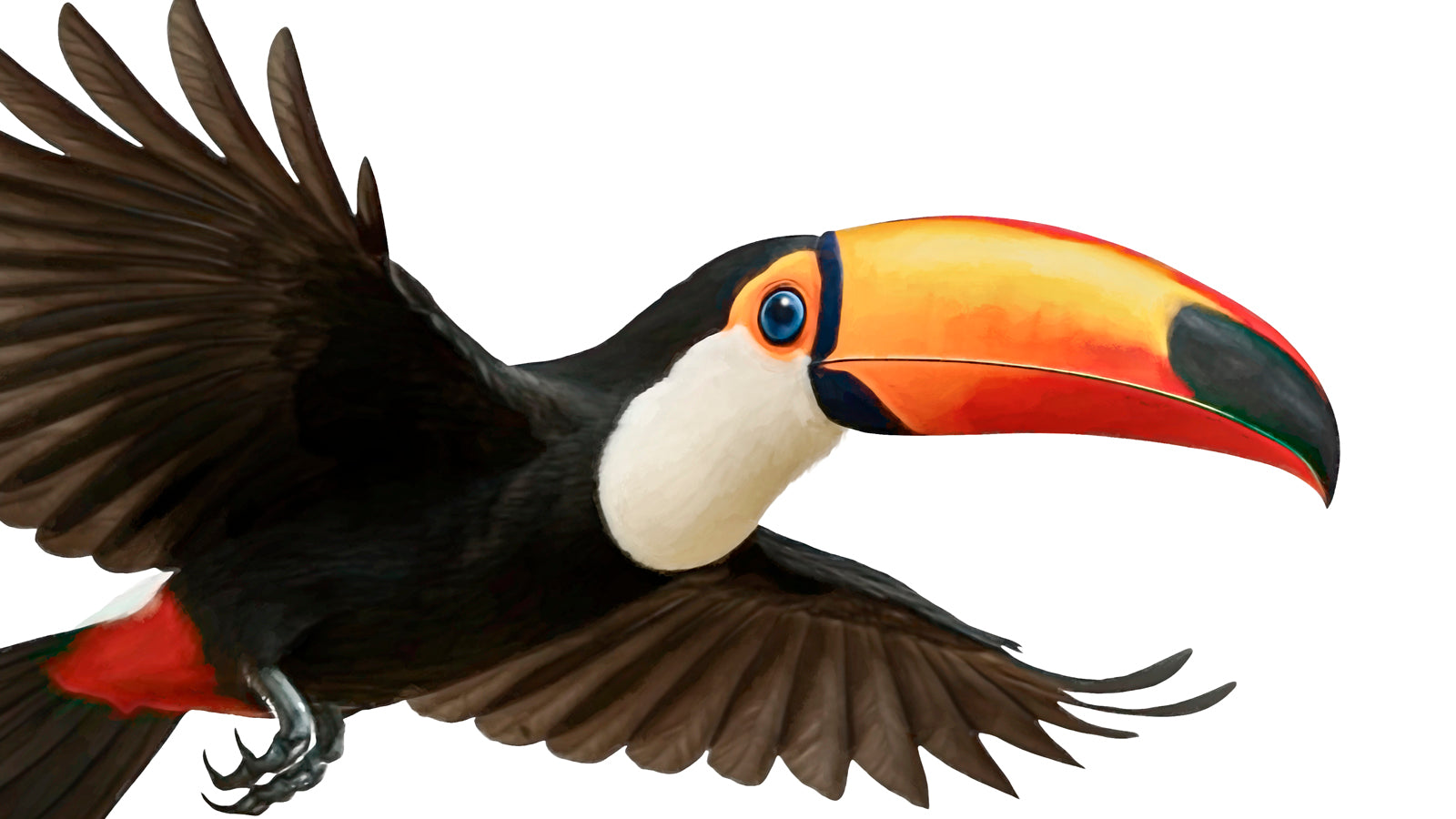 BIRDS
