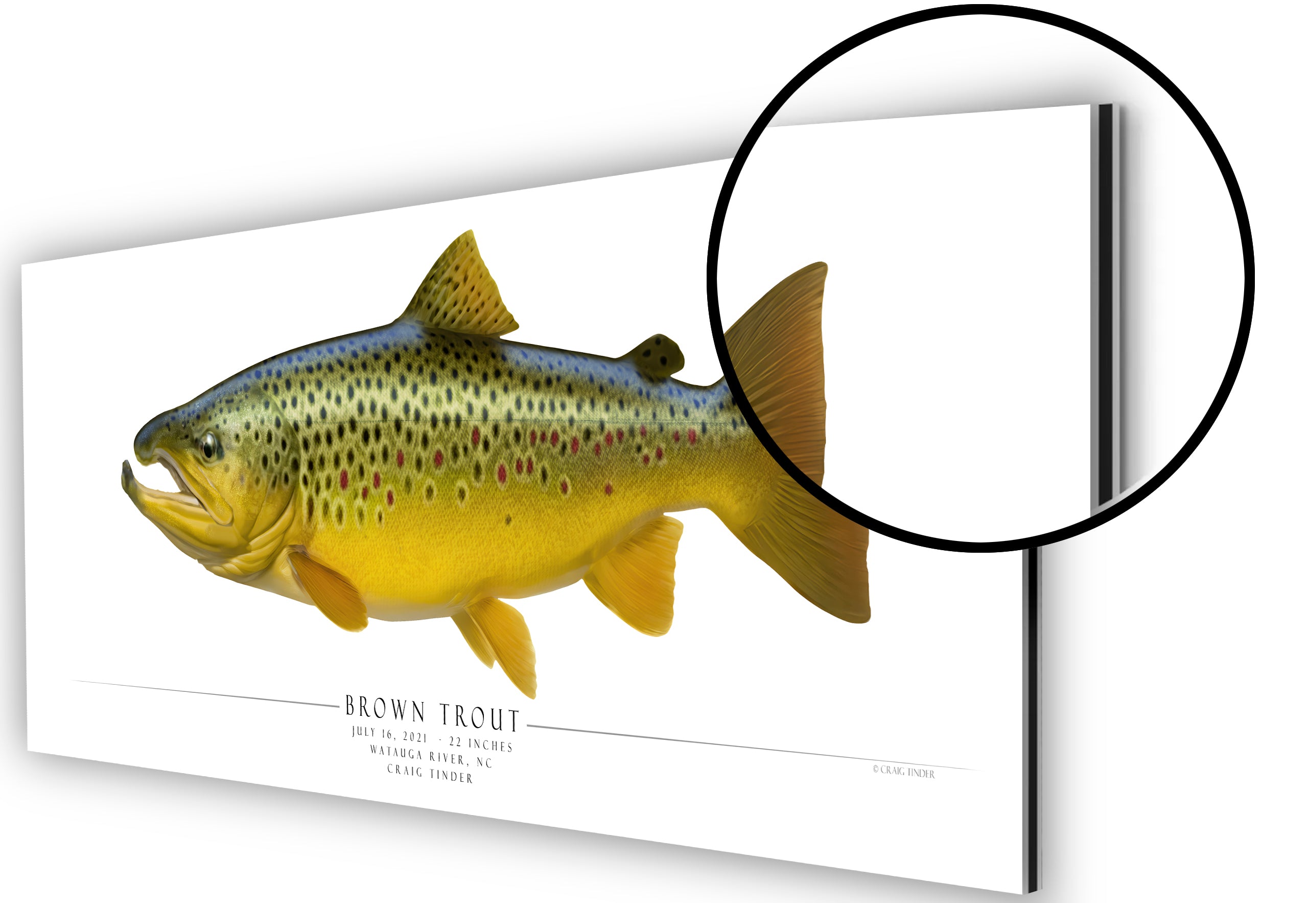 Commission Your Trophy by Artist Craig Tinder