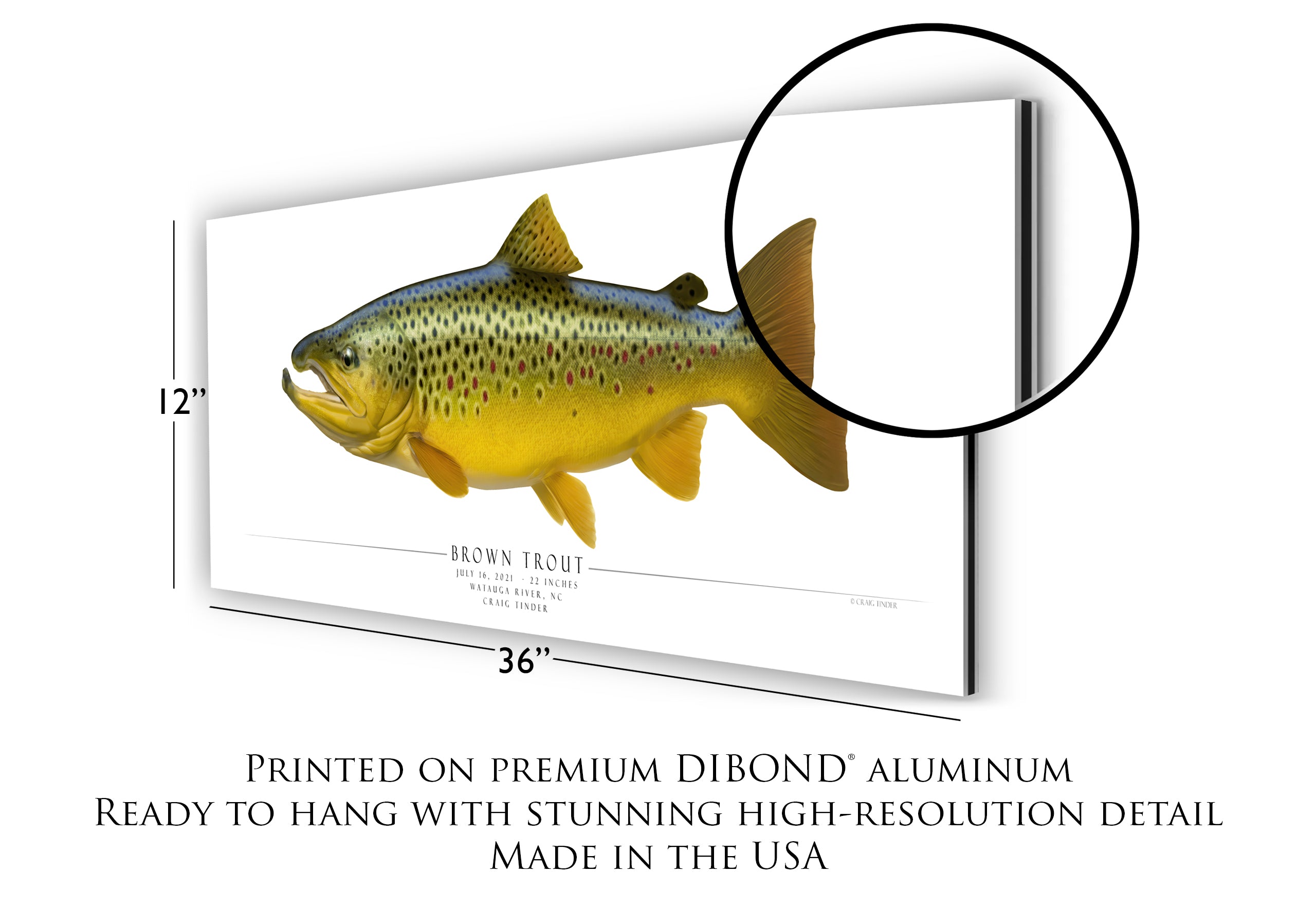 Commission Your Custom Trophy by Artist Craig Tinder