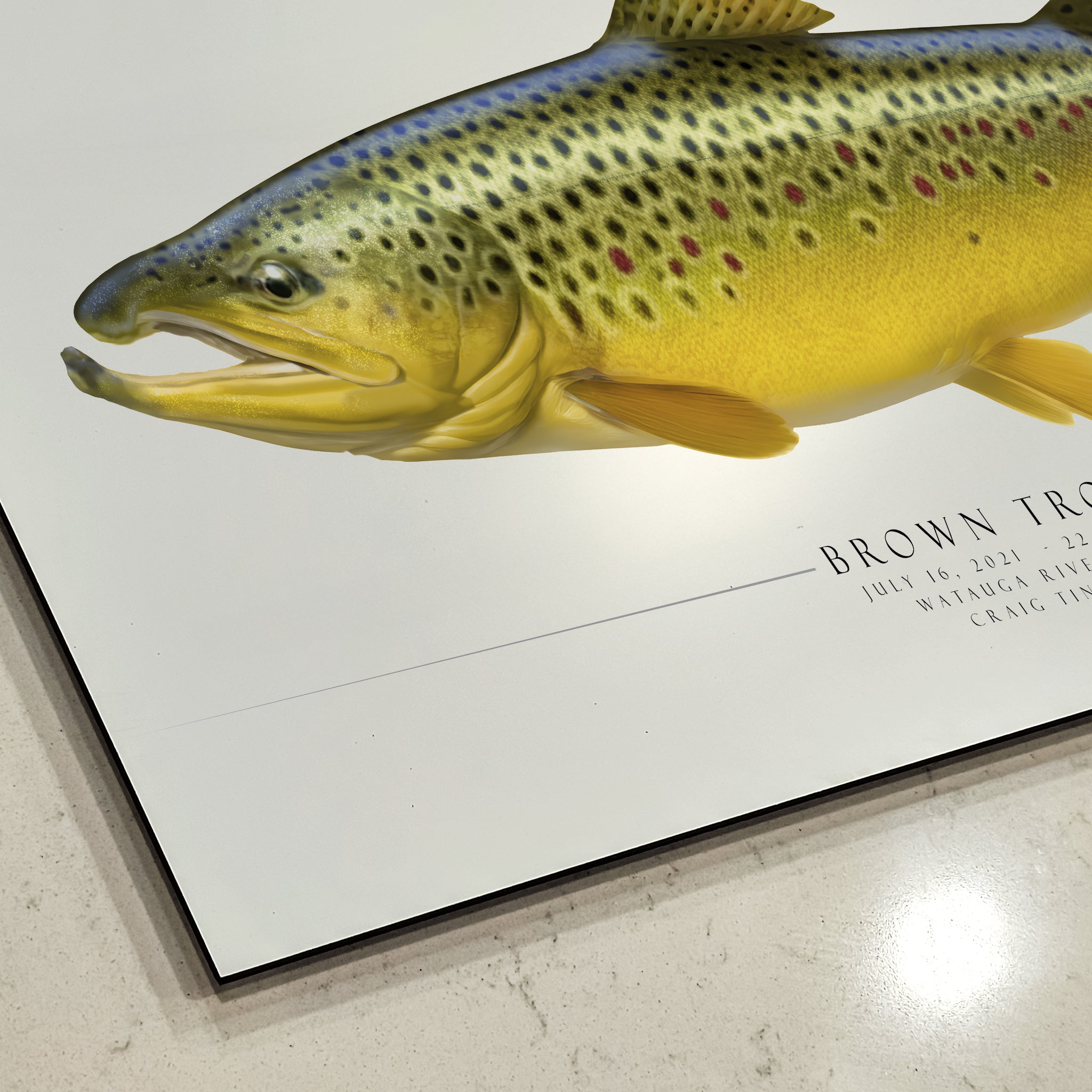 Commission Your Trophy by Artist Craig Tinder