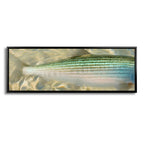 Bonefish Body