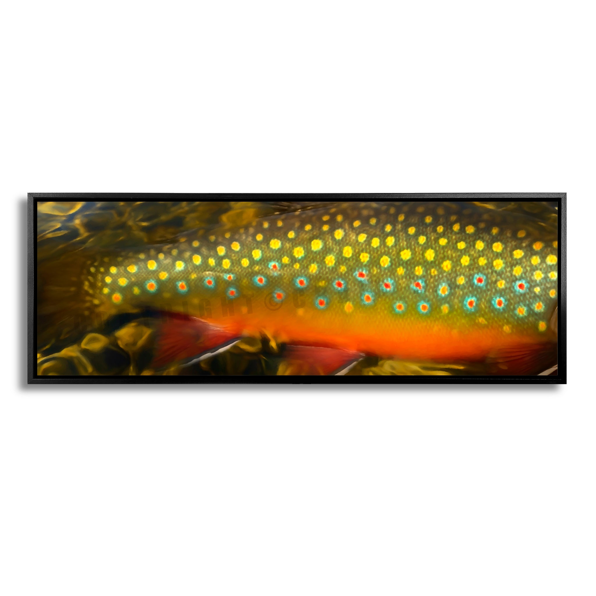 Brook Trout Body