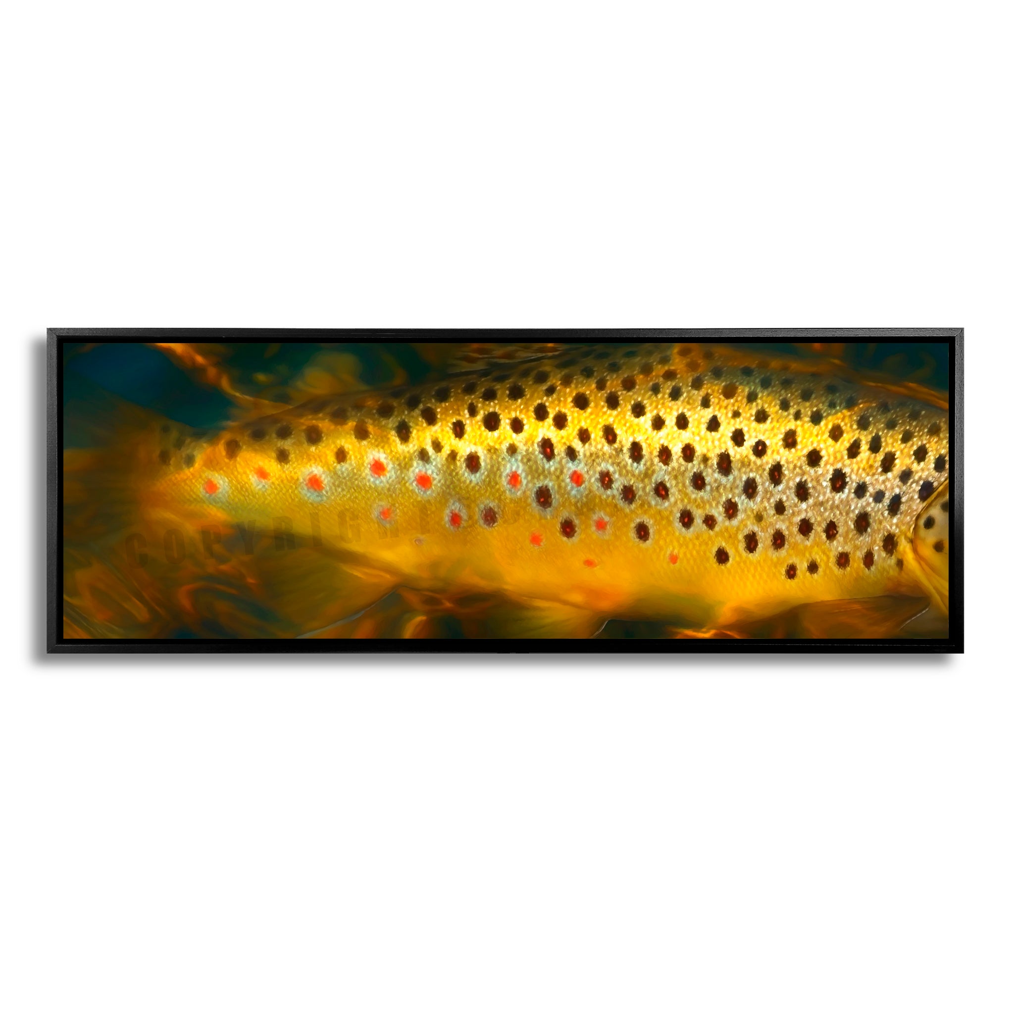 Brown Trout Body