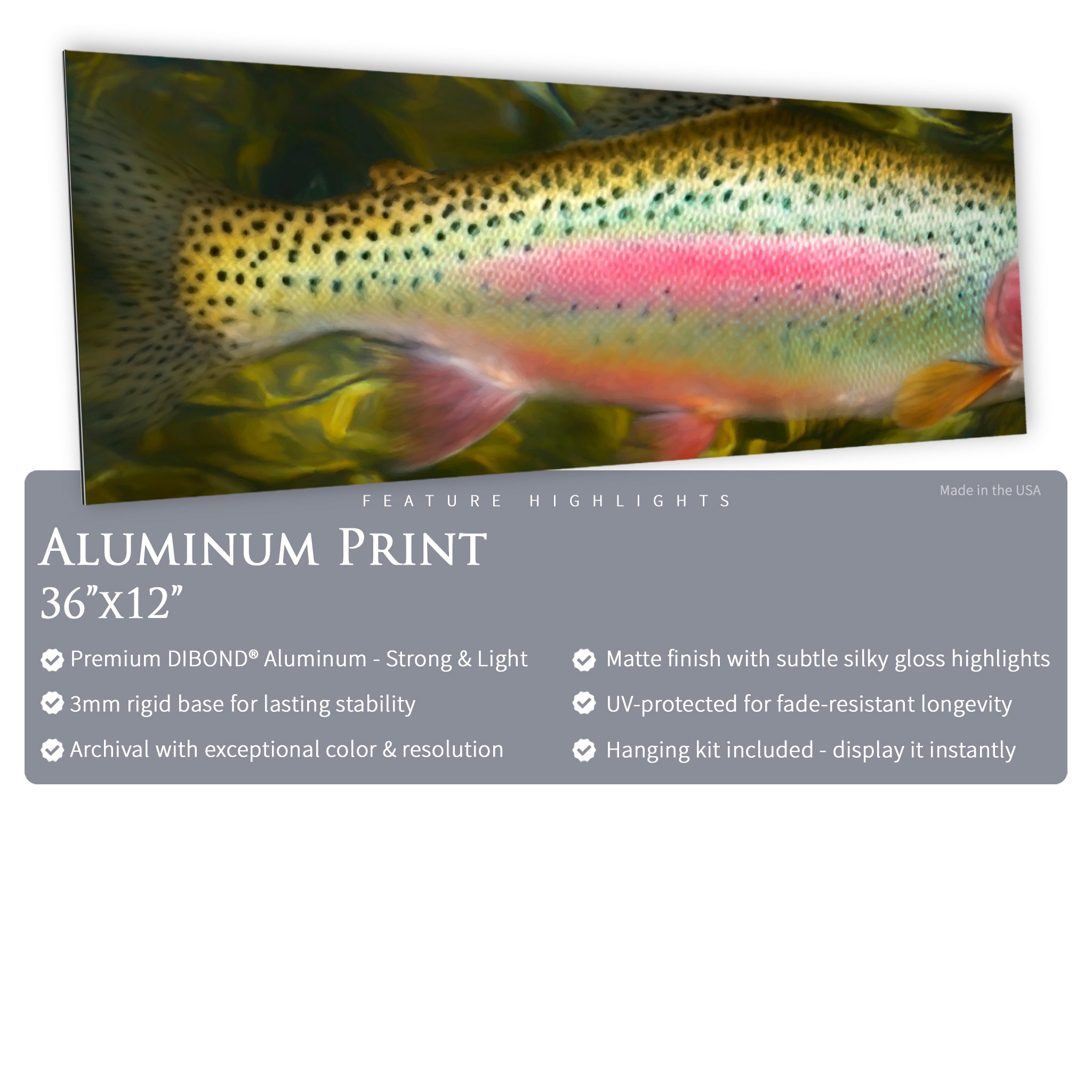 Rainbow Trout Body