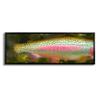 Rainbow Trout Body