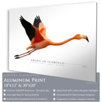 American Flamingo - Side View