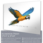 Blue & Gold Macaw - Side View