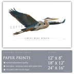 Great Blue Heron - Side View