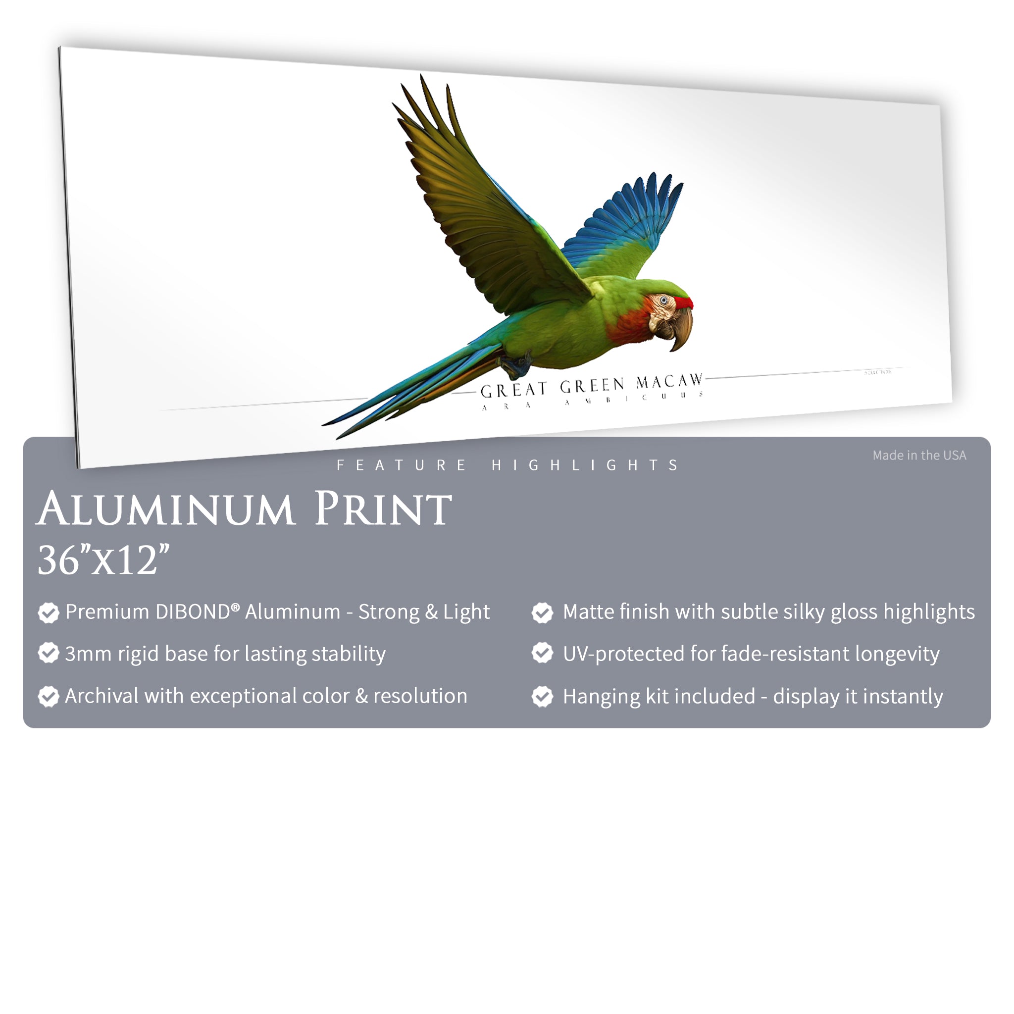 Great Green Macaw - Side View