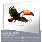 Toco Toucan - Side View