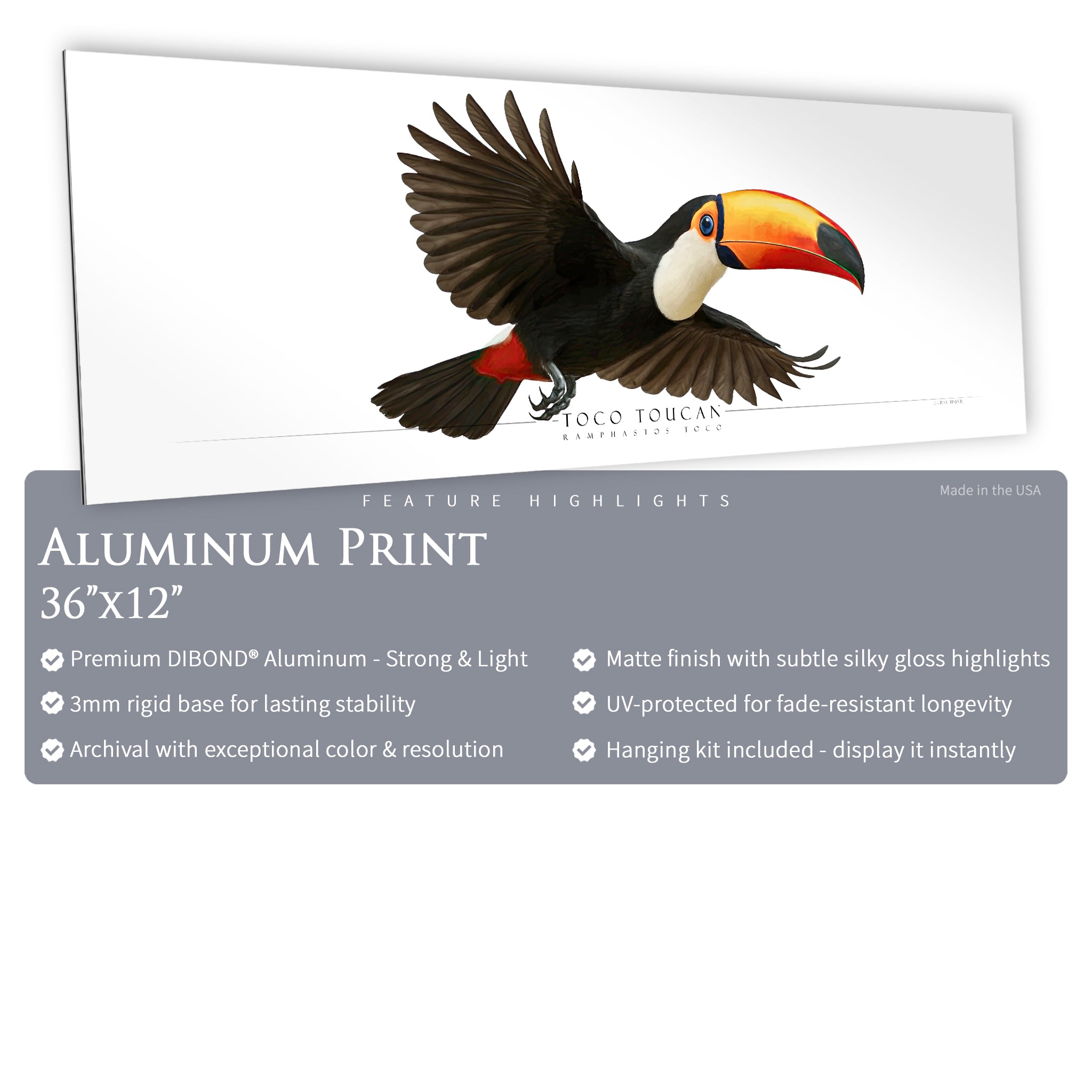 Toco Toucan - Side View