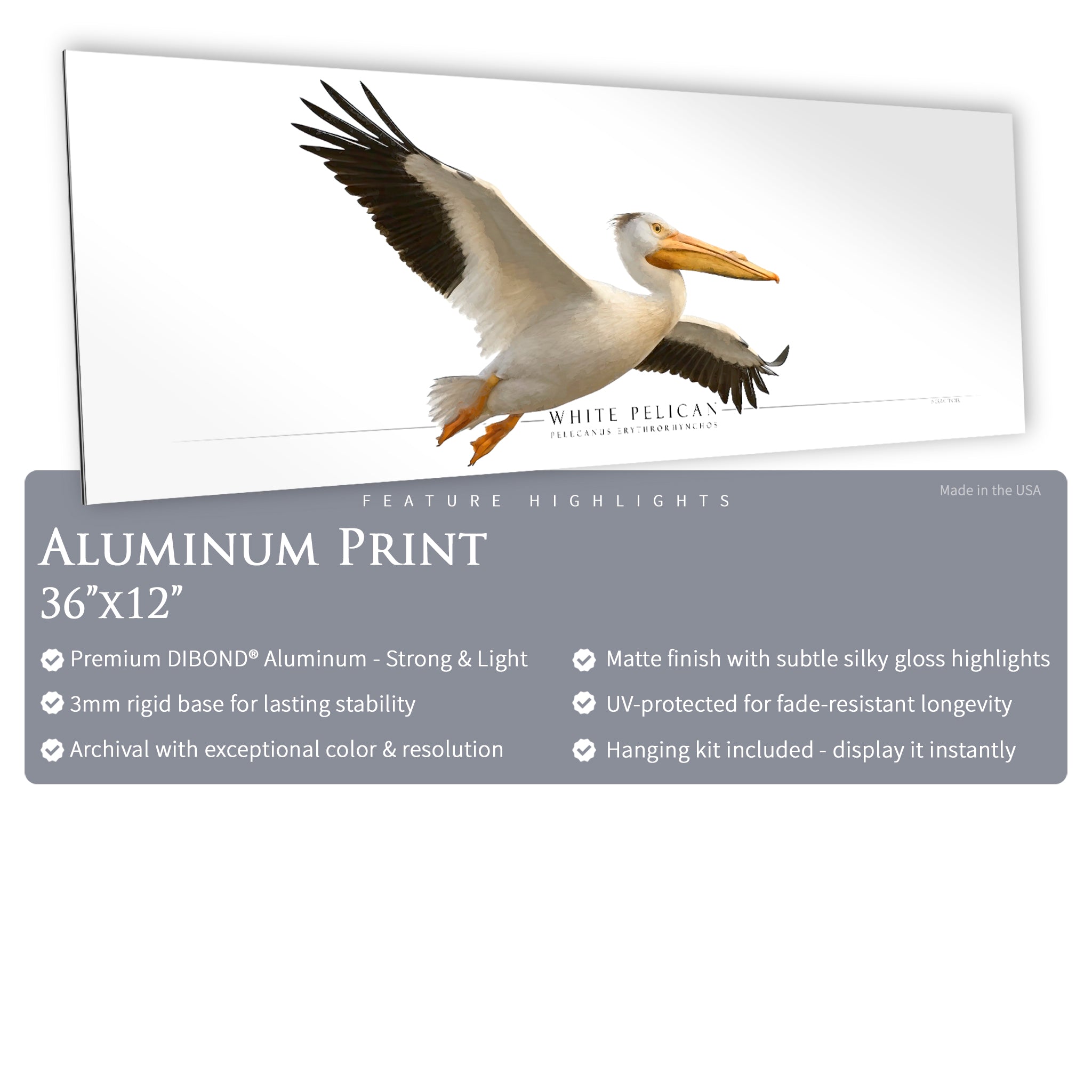 White Pelican - Side View