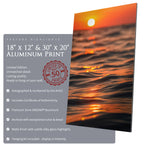 Ease of Night - Scapes