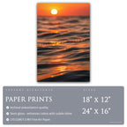 Ease of Night - Scapes