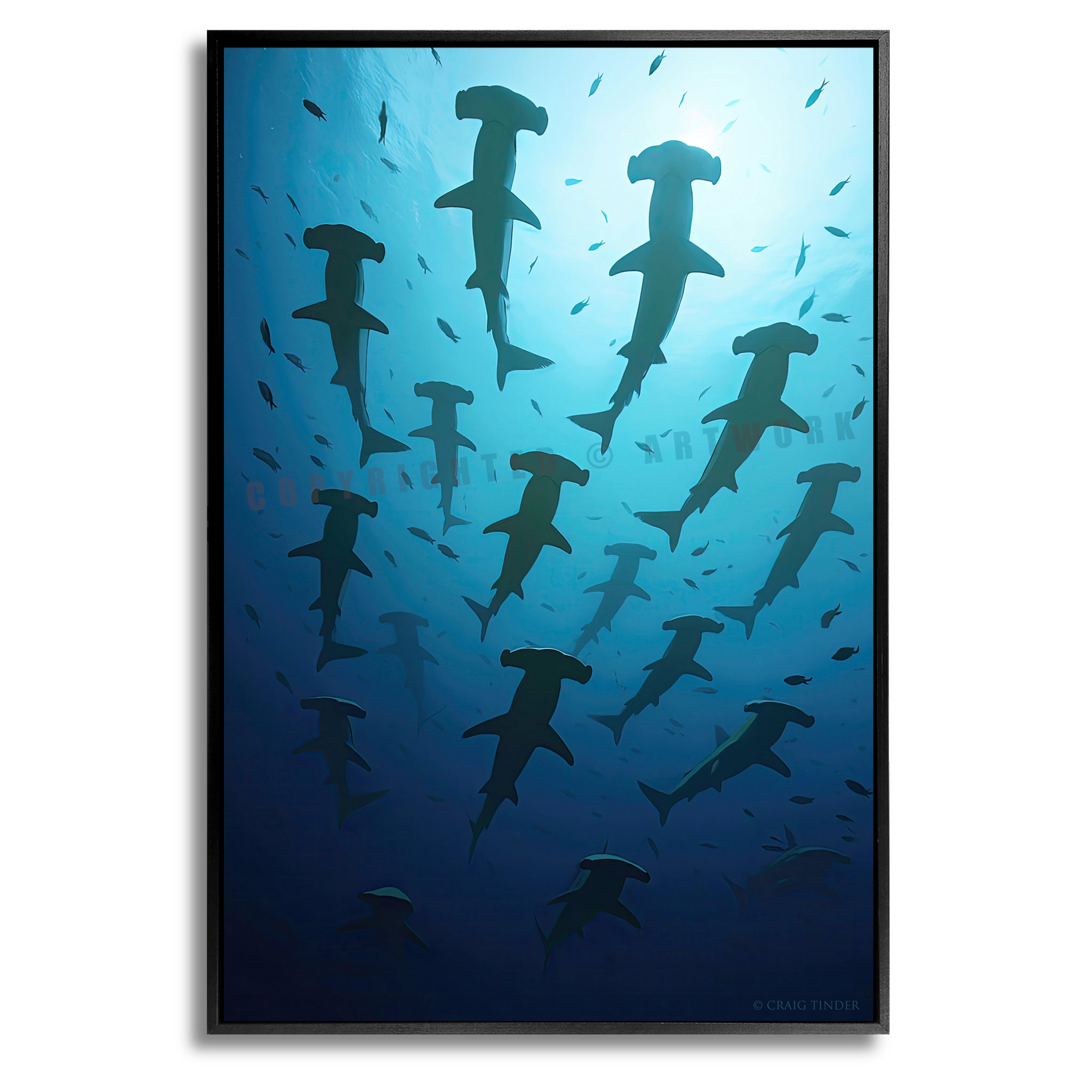 Hammerhead Symphony - Scapes