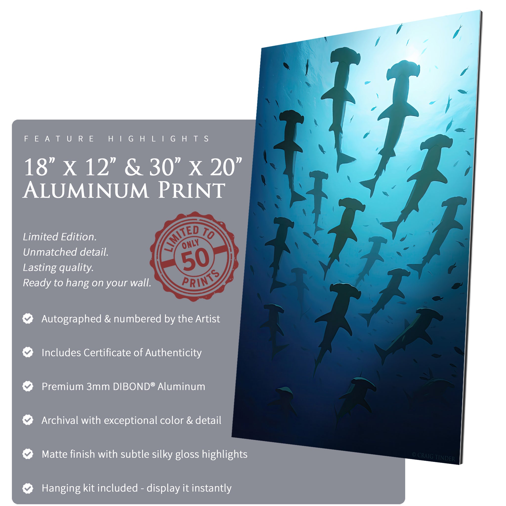 Hammerhead Symphony - Scapes