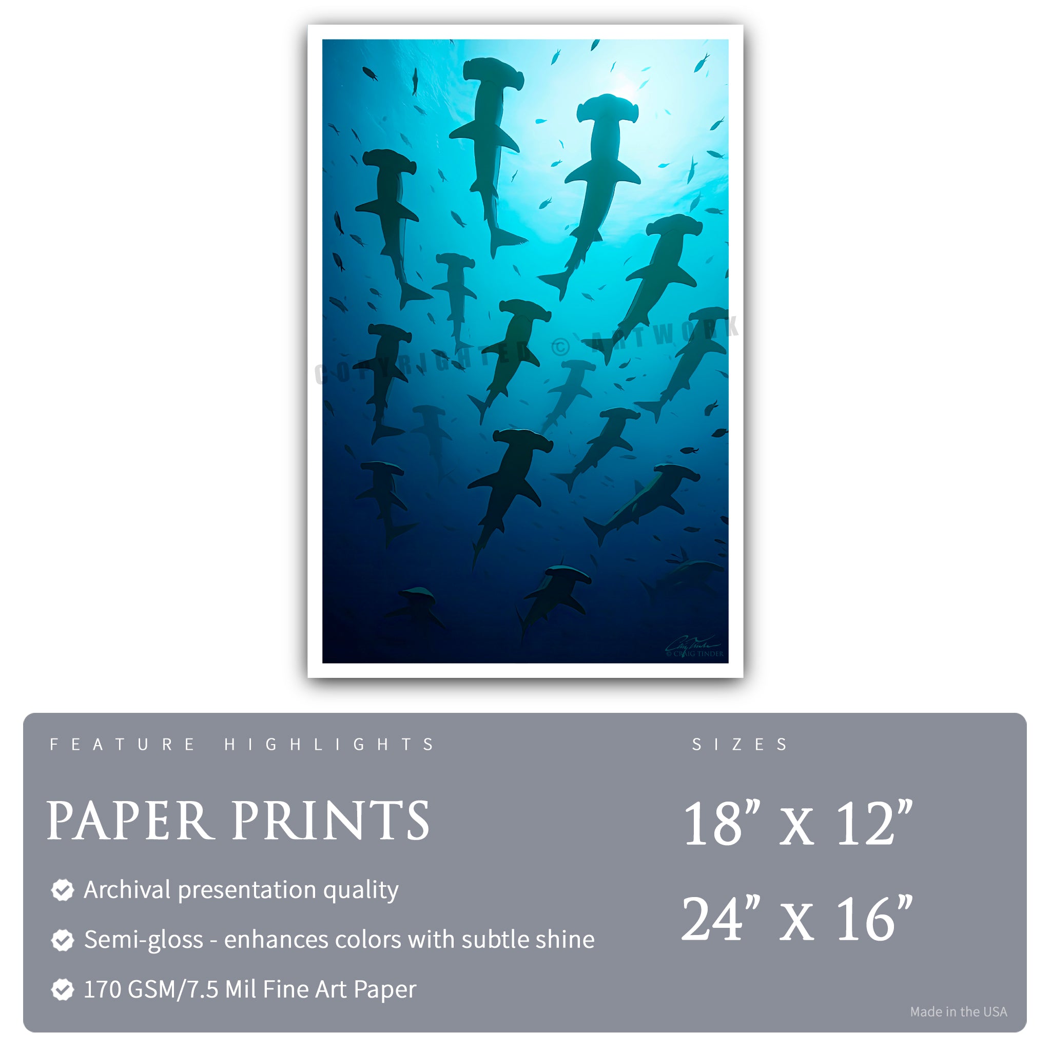 Hammerhead Symphony - Scapes