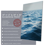 Open Waters - Scapes