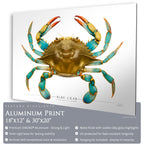 Blue Crab - Side View