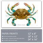 Blue Crab - Side View