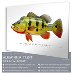 Butterfly Peacock Bass - Side View