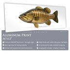 Smallmouth Bass - Side View