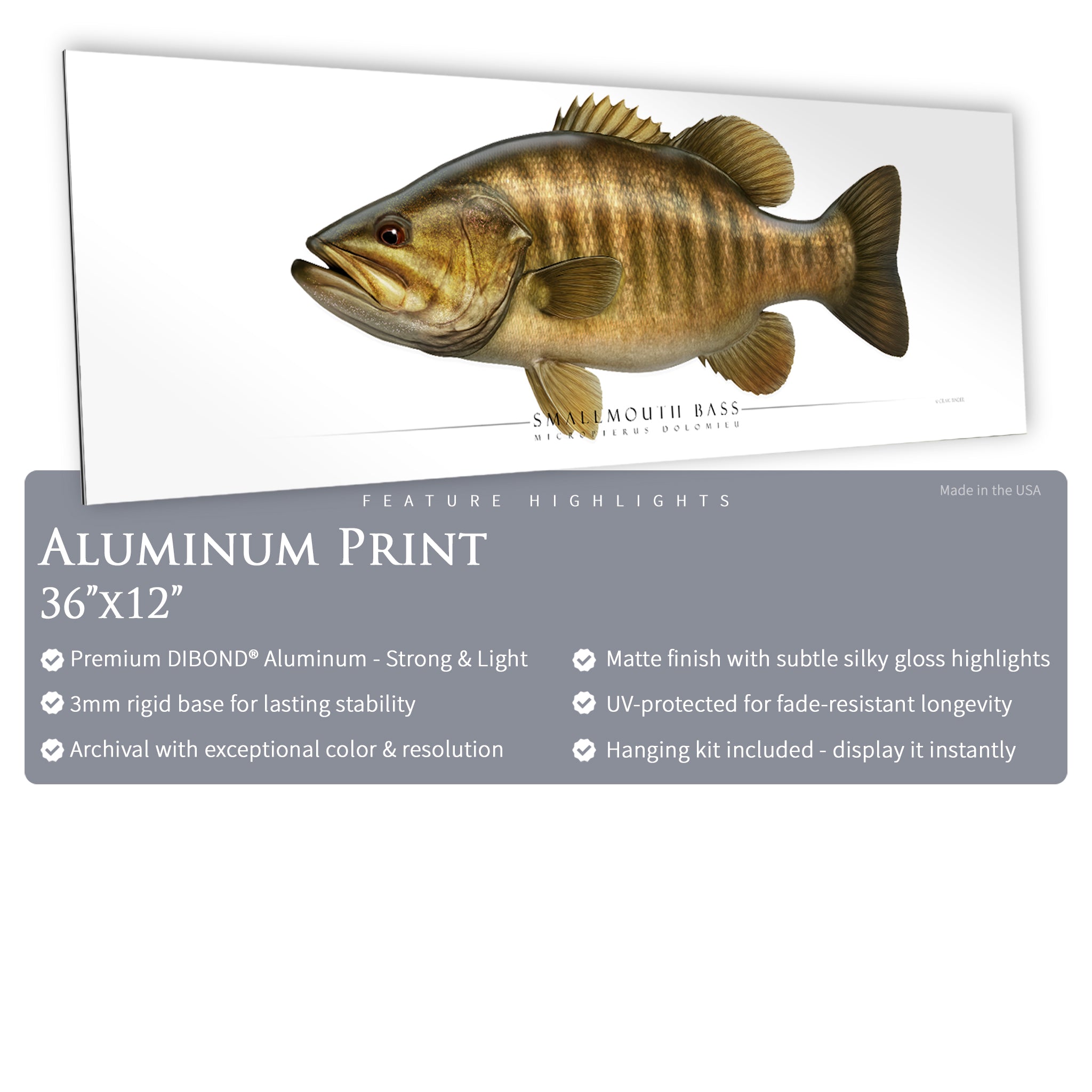 Smallmouth Bass - Side View