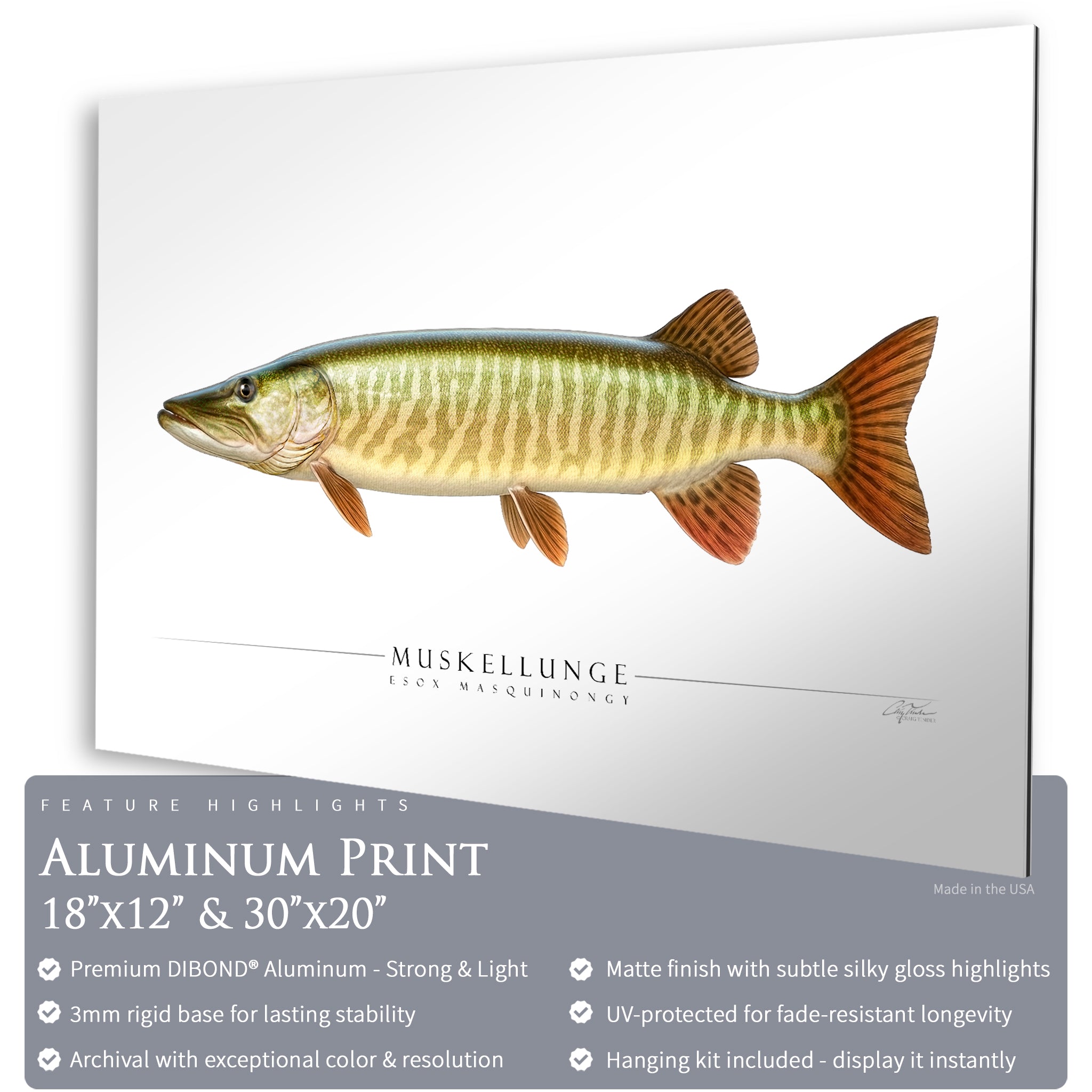 Muskellunge - Side View