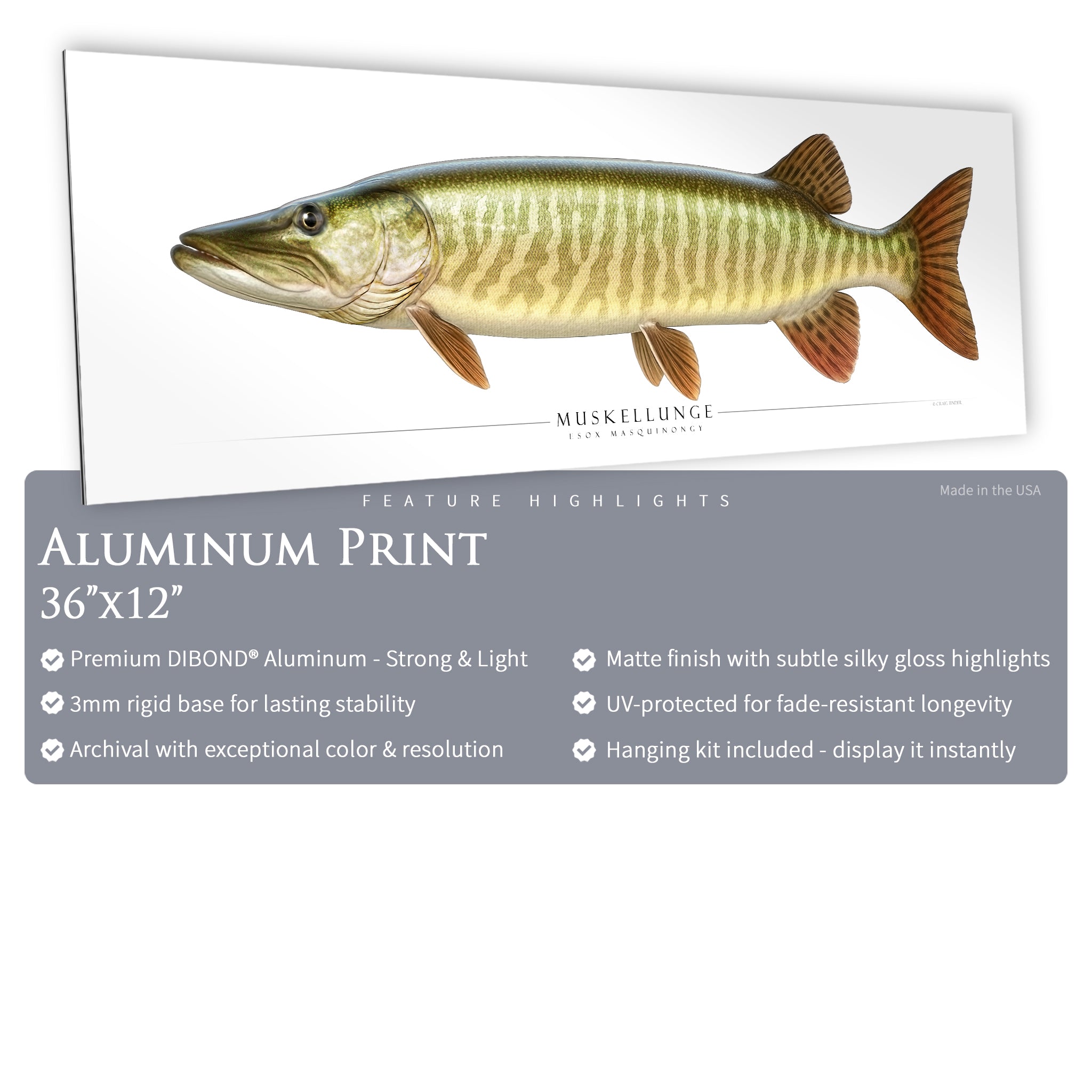 Muskellunge - Side View