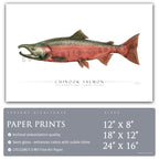 Chinook Salmon (Spawning) - Side View