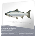 Chinook Salmon - Side View