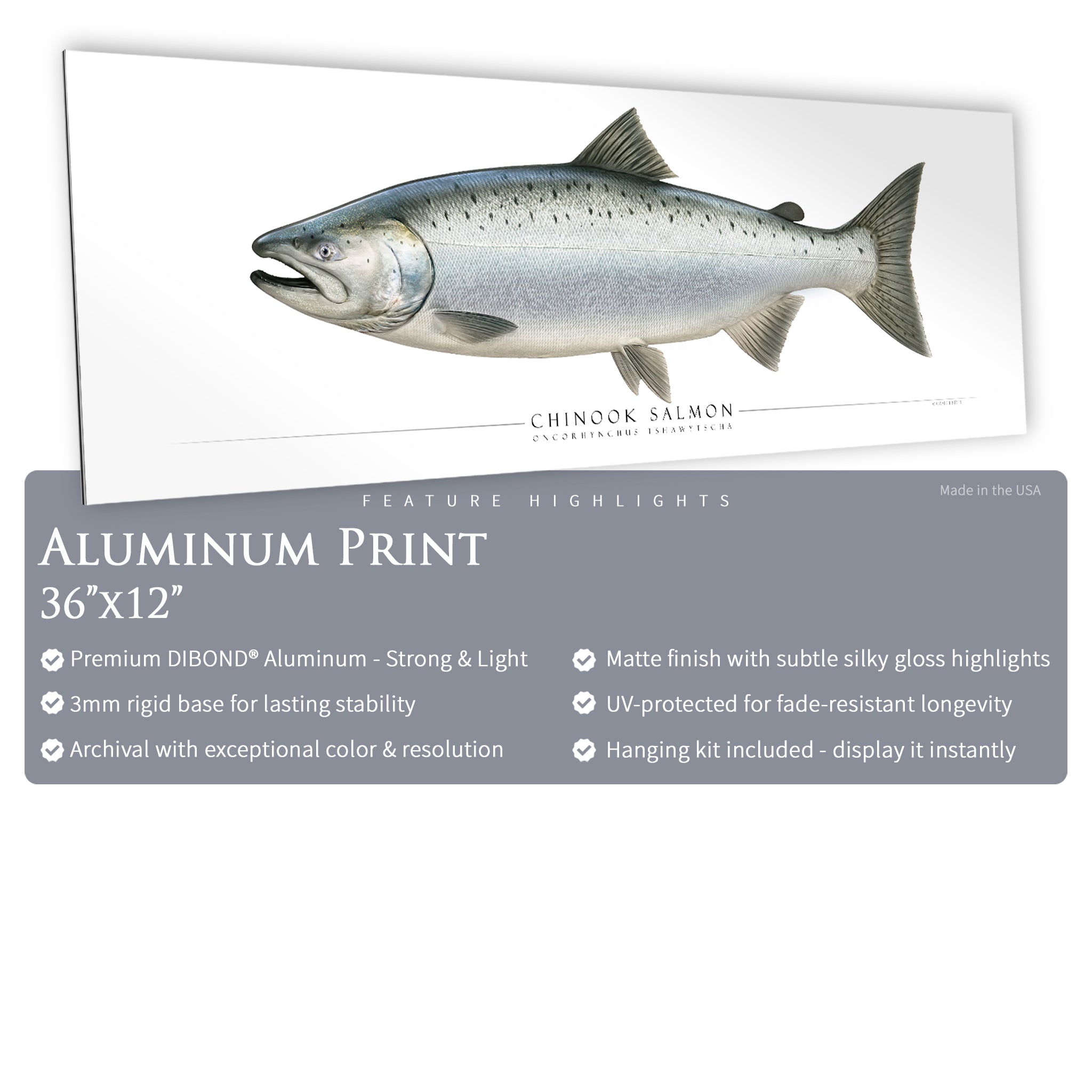 Chinook Salmon - Side View