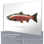 Coho Salmon (Spawning) - Side View