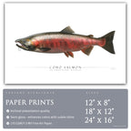 Coho Salmon (Spawning) - Side View