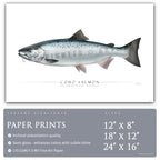 Coho Salmon - Side View