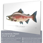 Pink Salmon - Side View