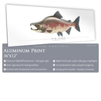 Pink Salmon - Side View