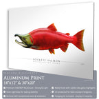 Sockeye Salmon - Side View