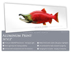 Sockeye Salmon - Side View