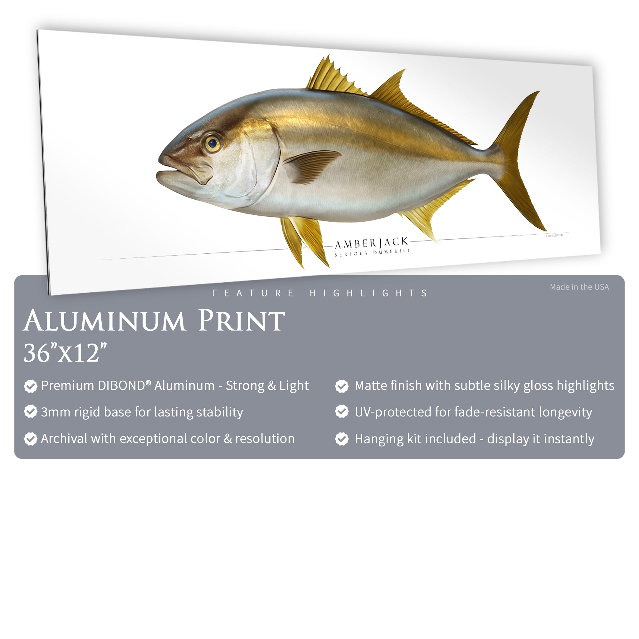 Amberjack - Side View