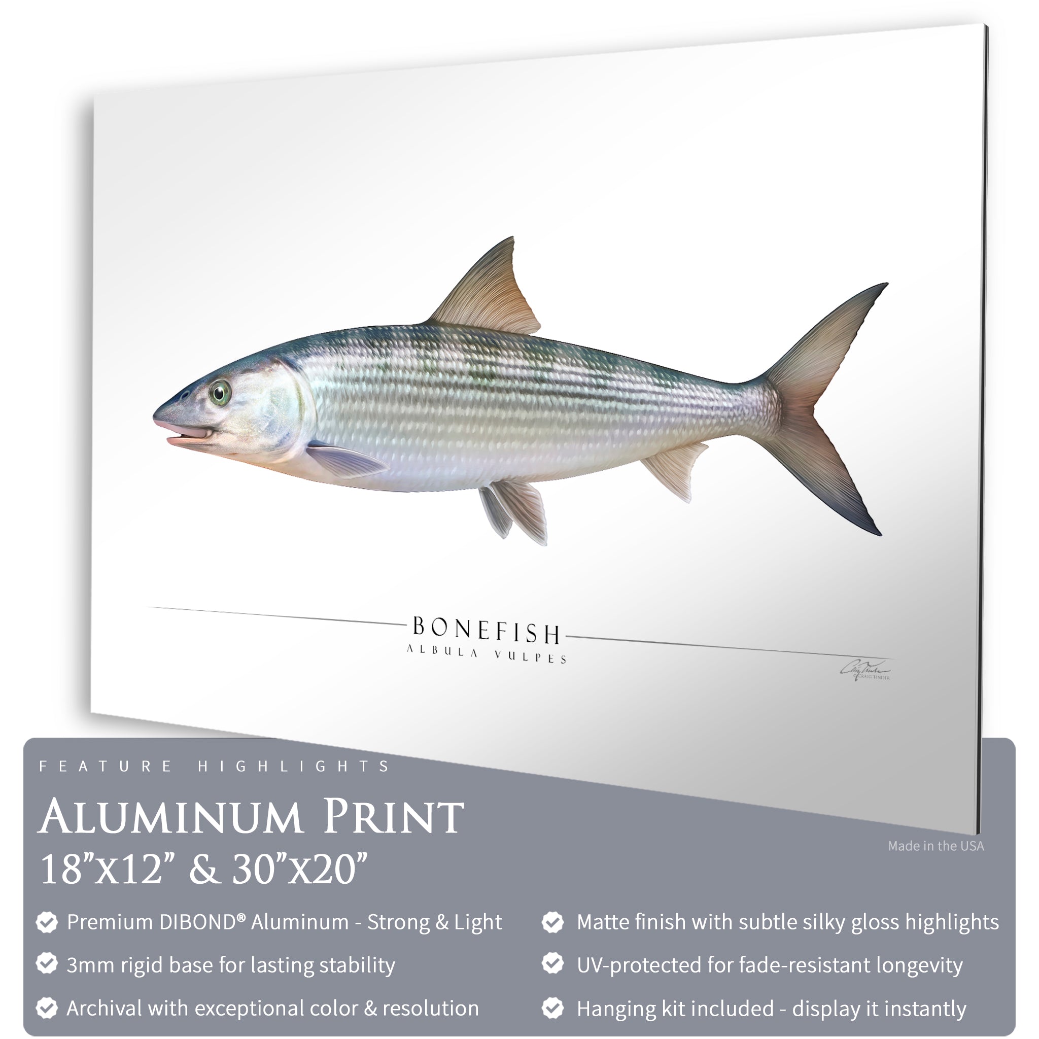 Bonefish - Side View