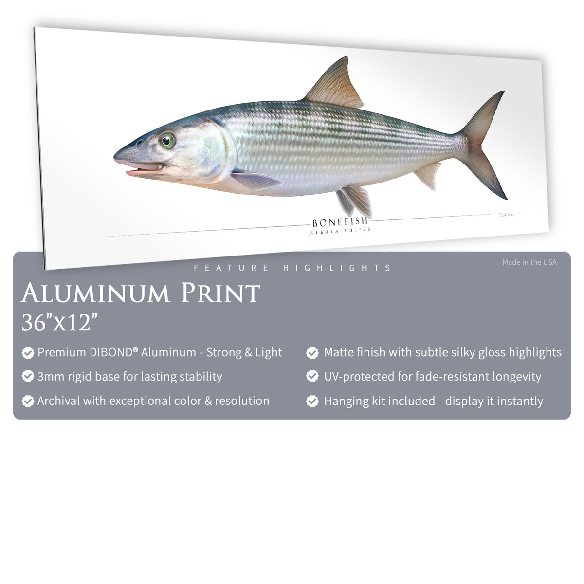 Bonefish Labchart Bonefish - Side View – Wild Spey