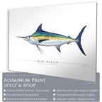 Blue Marlin - Side View