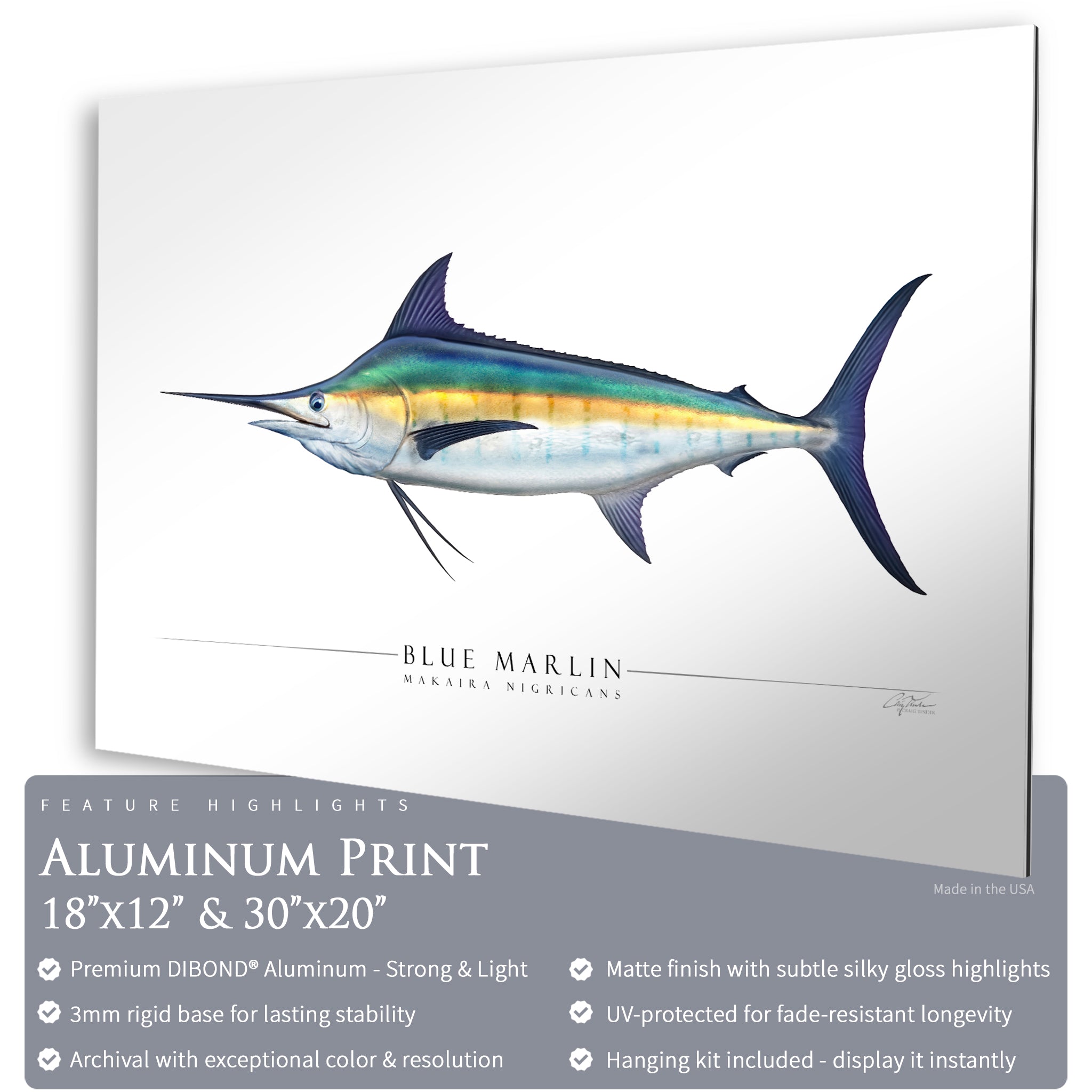 Blue Marlin - Side View