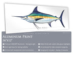 Blue Marlin - Side View