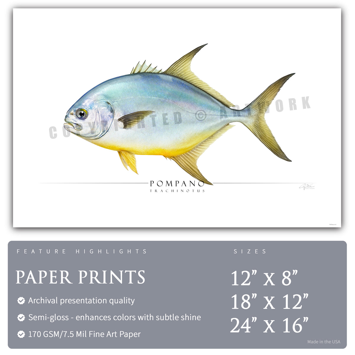Pompano Insect Pompano - Side View – Wild Spey
