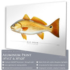 Red Drum - Side View