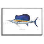 Sailfish - Side View