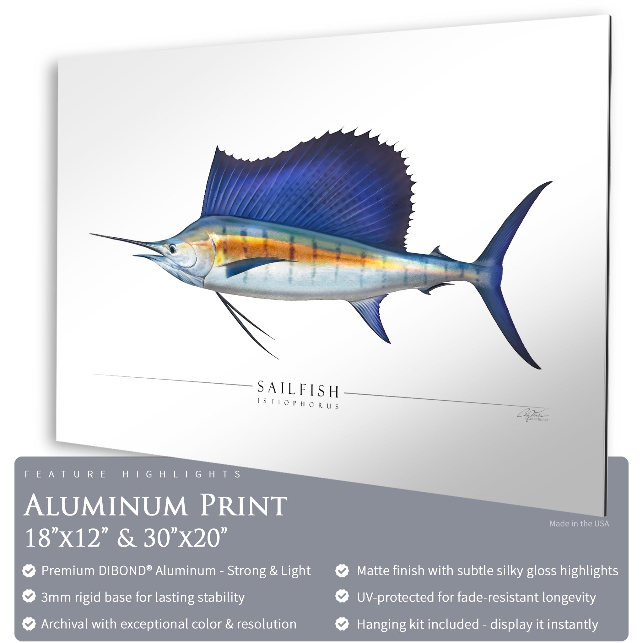 Sailfish - Side View