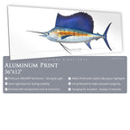 Sailfish - Side View